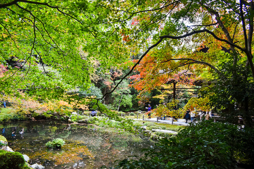 南禅院_書院と紅葉