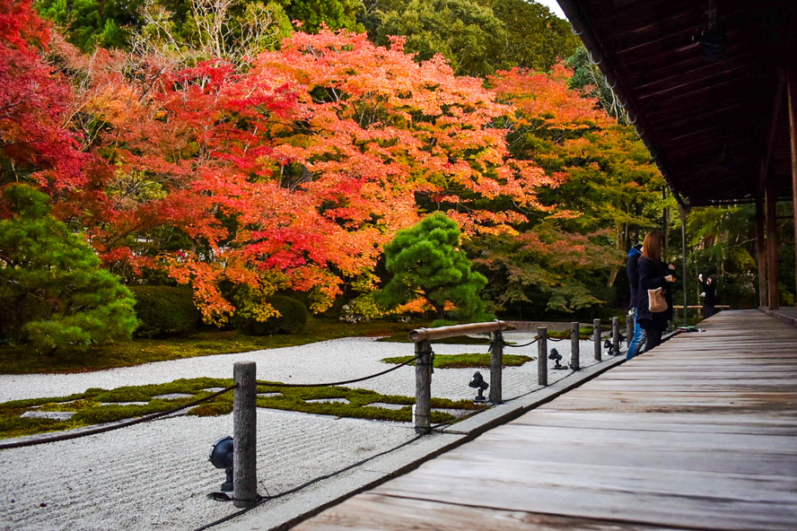 天授庵_紅葉の枯山水庭園