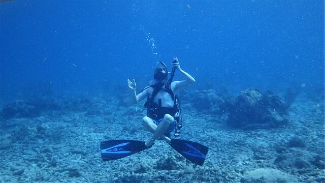 沖縄の卒業旅行_オススメのアクティビティ_体験ダイビング