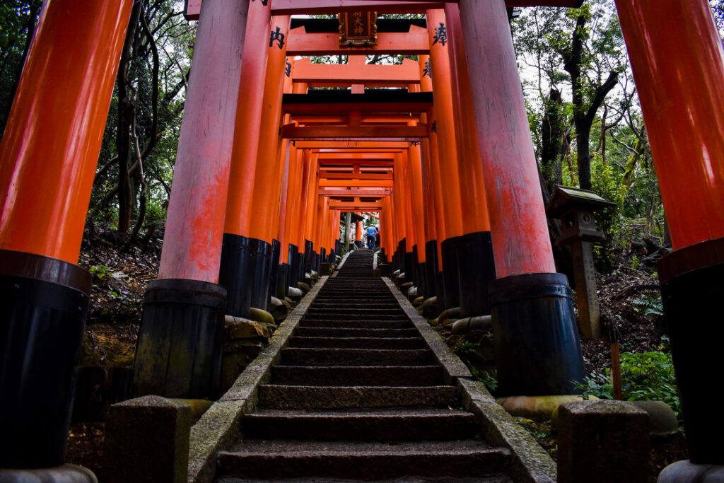 伏見稲荷の千本鳥居・階段鳥居_観光案内