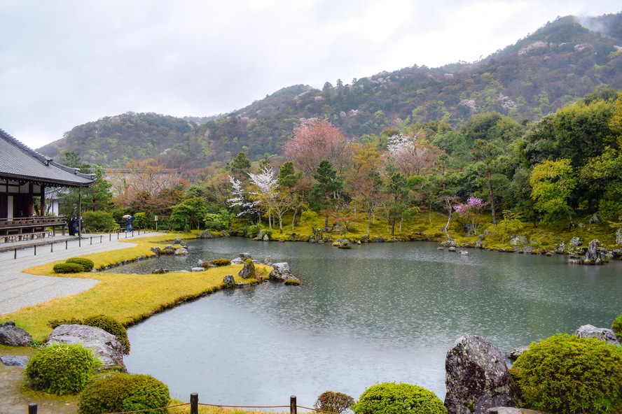 京都・嵐山_天龍寺の春の曹源池庭園