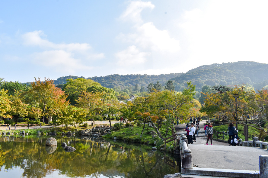 京都・円山公園の観光見どころ秋の庭園と紅葉