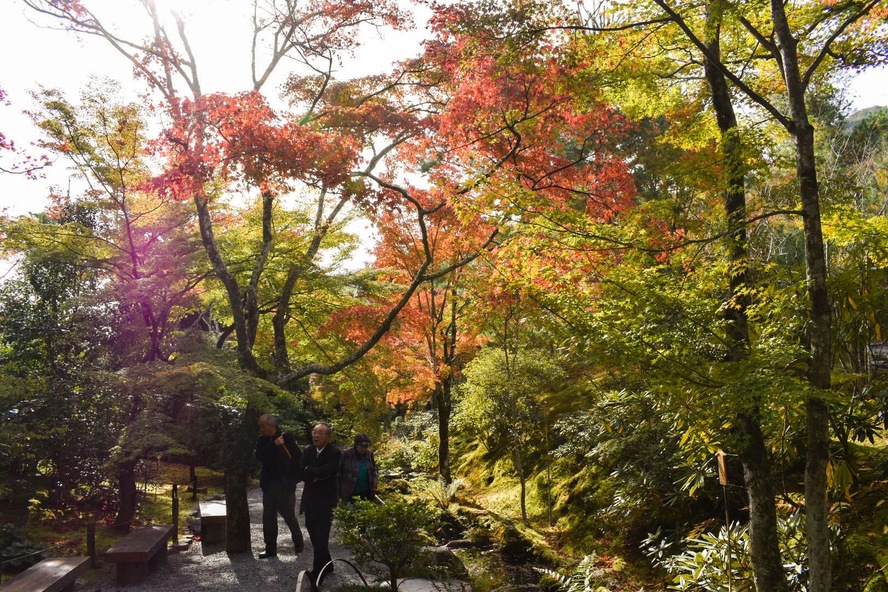天龍寺の百花苑_紅葉