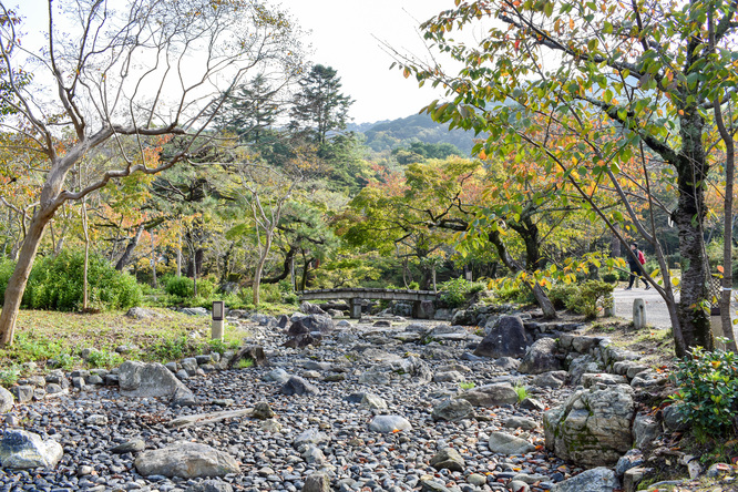 秋の京都_円山公園と紅葉