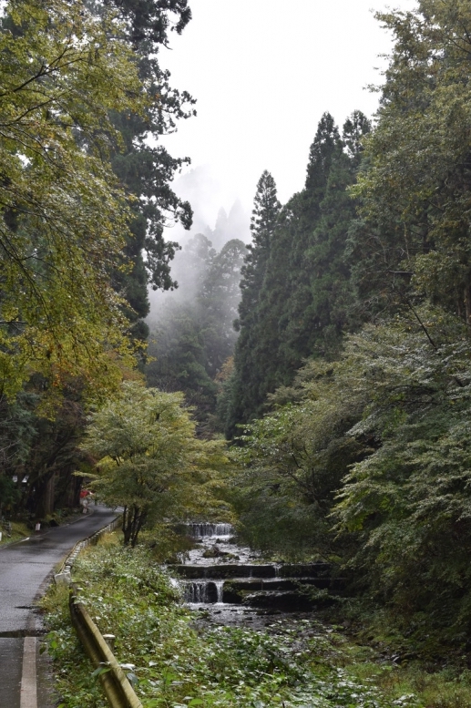 貴船神社参道_三社詣と京都の自然