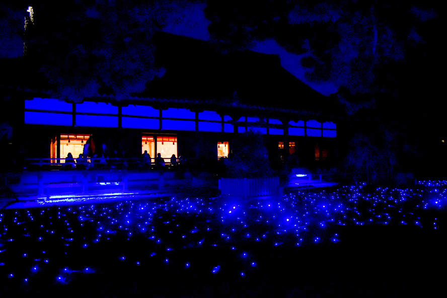 京都・円山公園周辺の観光見どころ_青蓮院門跡のライトアップ