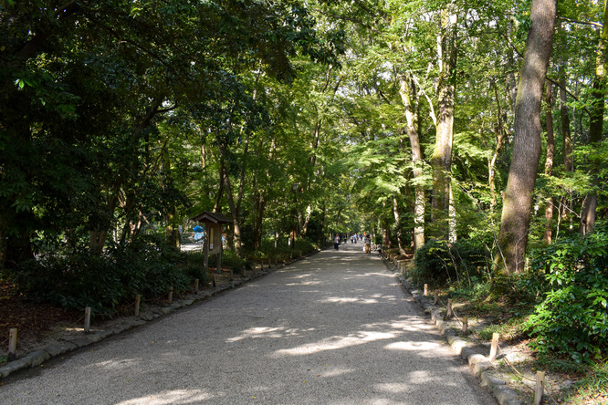 下鴨神社_糺の森