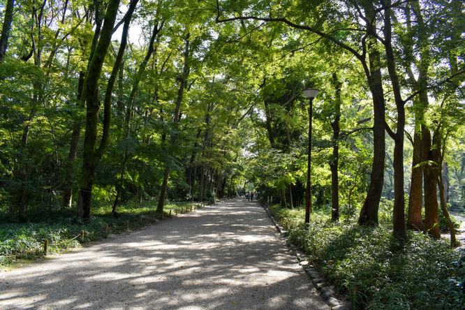 下鴨神社_糺の森