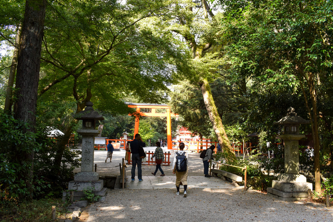 下鴨神社_糺の森