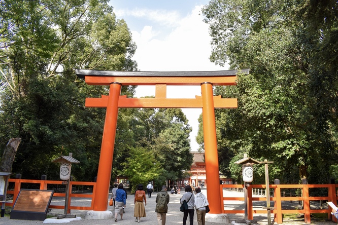 下鴨神社_糺の森と南口鳥居