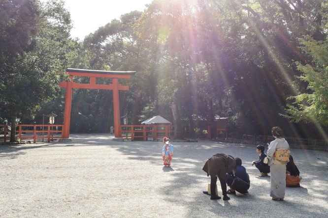 下鴨神社_糺の森と南口鳥居