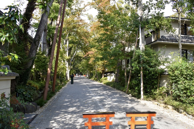 下鴨神社_糺の森へ