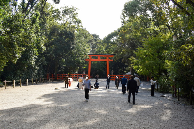 下鴨神社・南口鳥居と糺の森