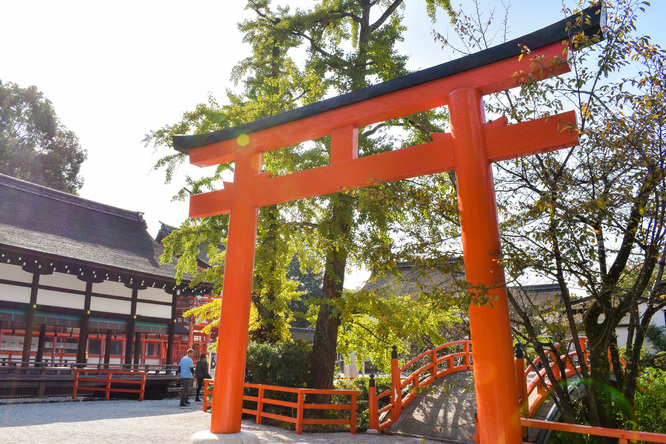 下鴨神社・御手洗池と鳥居