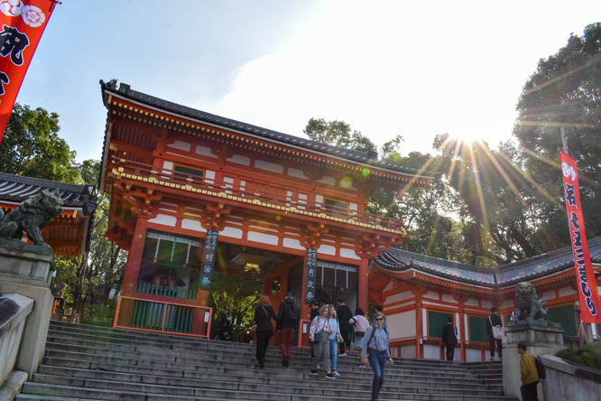 古都・京都の自然_鴨川と八坂神社