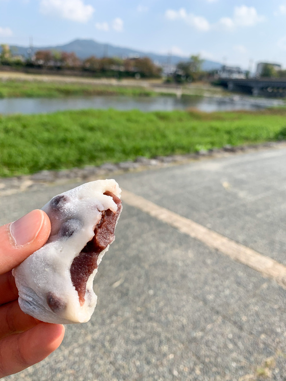 鴨川デルタと出町ふたば_古都・京都の自然_和菓子しかかたん。