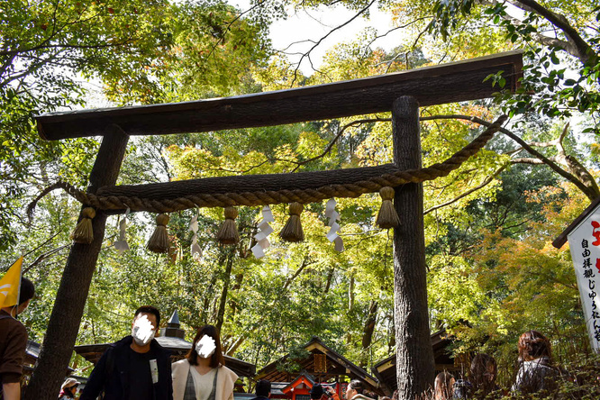 京都・嵐山_竹林の小径と野宮神社・黒木鳥居
