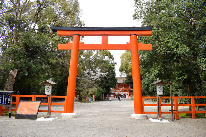 春の下鴨神社・南口鳥居と糺の森