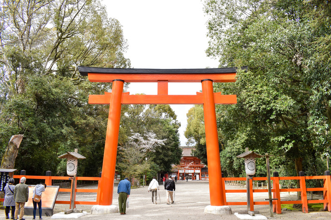 春の下鴨神社・糺の森と南口鳥居