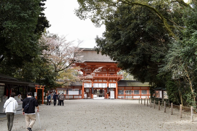 春の下鴨神社・糺の森と楼門