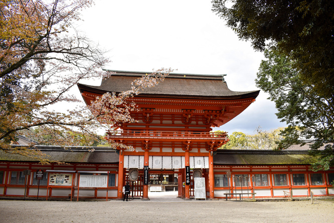 春の下鴨神社・糺の森と楼門と桜