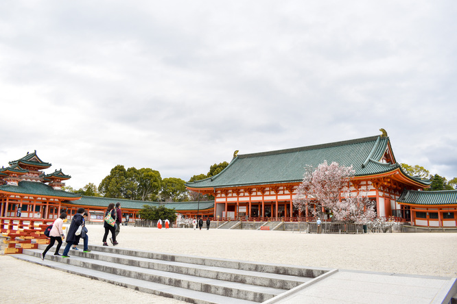 春の京都_鴨川と桜・平安神宮