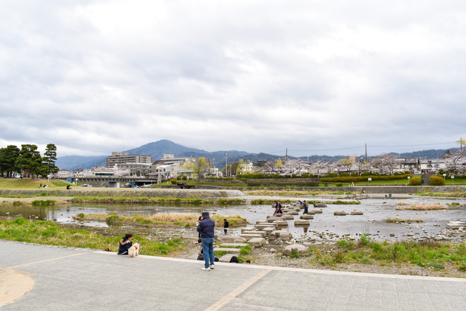 春の京都_鴨川デルタ