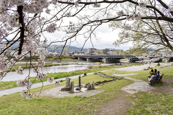 春の京都_鴨川デルタ