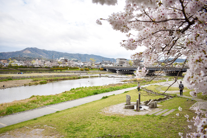 春の京都_鴨川デルタ