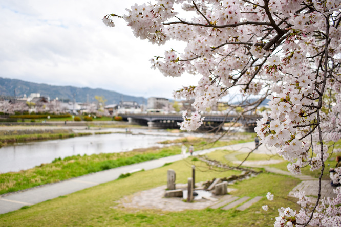 春の京都_鴨川デルタ