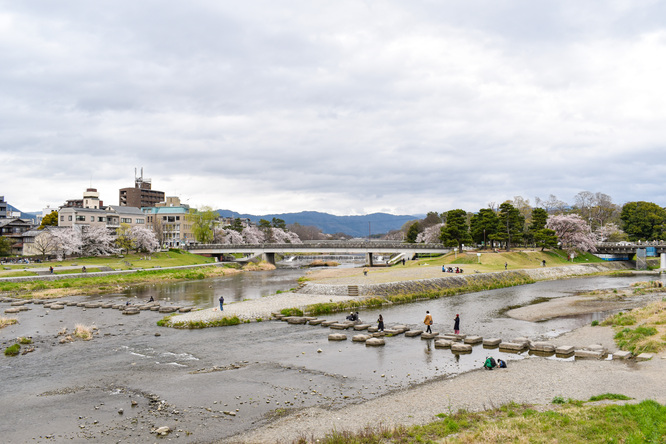 春の京都_鴨川デルタ