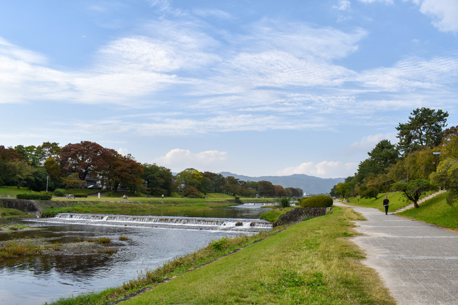 賀茂川サイクリング_古都・京都の自然