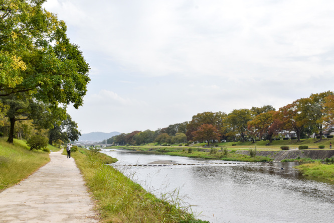 賀茂川サイクリング_古都・京都の自然