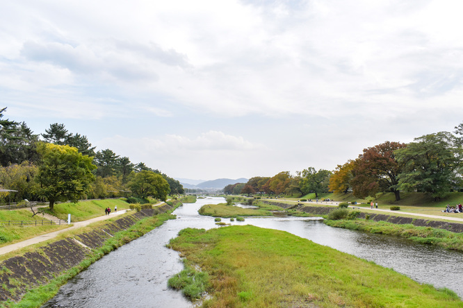 賀茂川サイクリング_古都・京都の自然