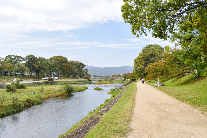 賀茂川サイクリング_古都・京都の自然