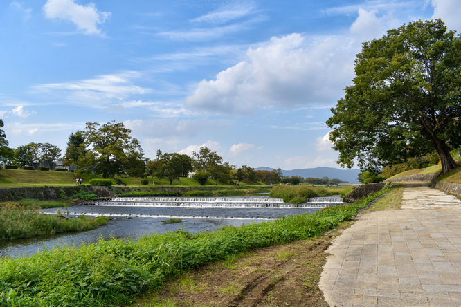 賀茂川サイクリング_古都・京都の自然