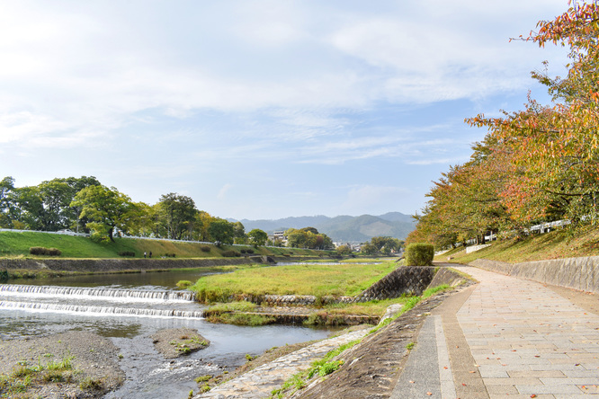 賀茂川サイクリング_古都・京都の自然