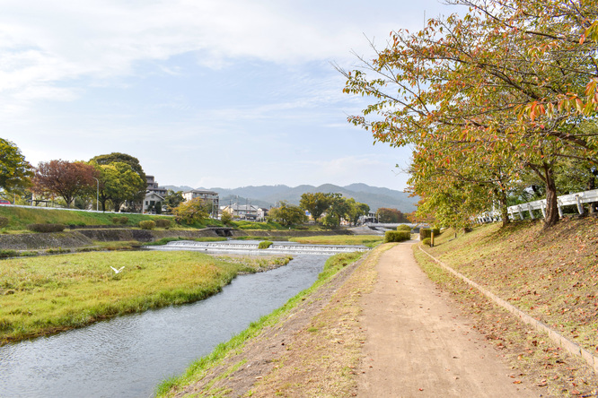 賀茂川サイクリング_古都・京都の自然