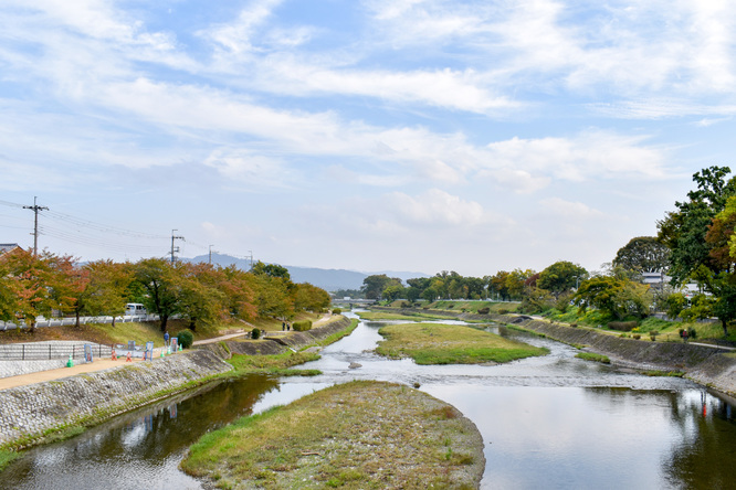 賀茂川サイクリング_古都・京都の自然