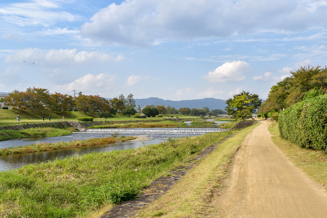 賀茂川サイクリング_古都・京都の自然