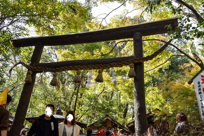 野宮神社_黒木鳥居