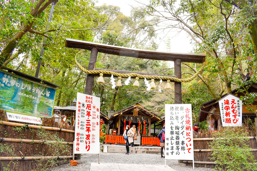 野宮神社_黒木鳥居と境内