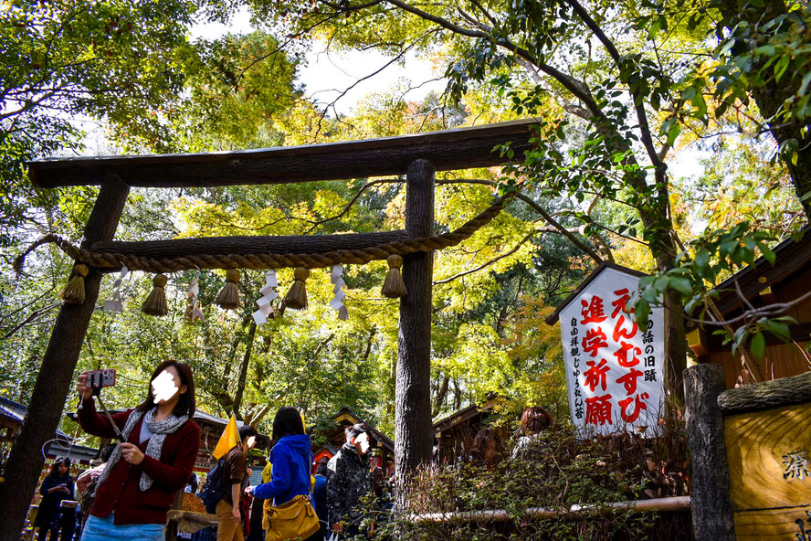 野宮神社の歴史_黒木鳥居と境内