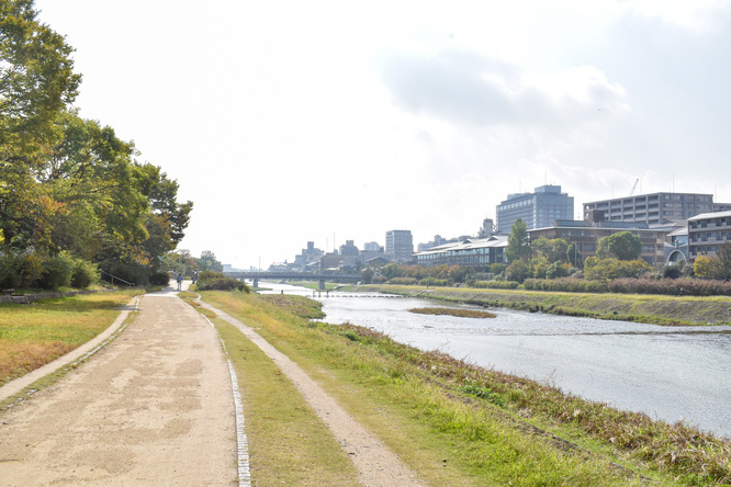 鴨川サイクリング_古都・京都の自然