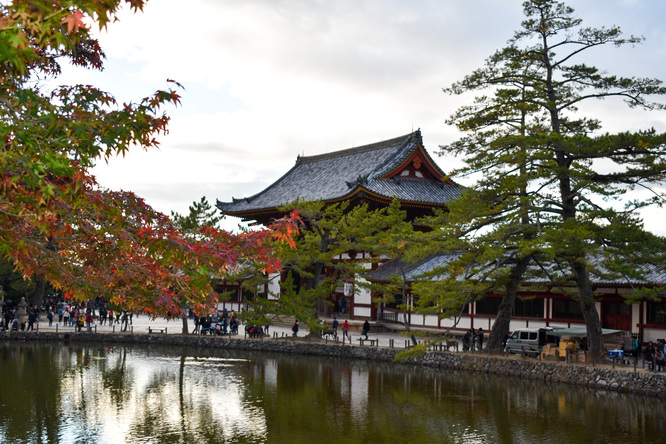 東大寺_鏡池＆中門と奈良公園の紅葉と鹿