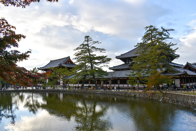 東大寺_鏡池＆中門と奈良公園の紅葉と鹿