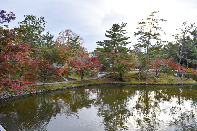 東大寺と奈良公園の紅葉