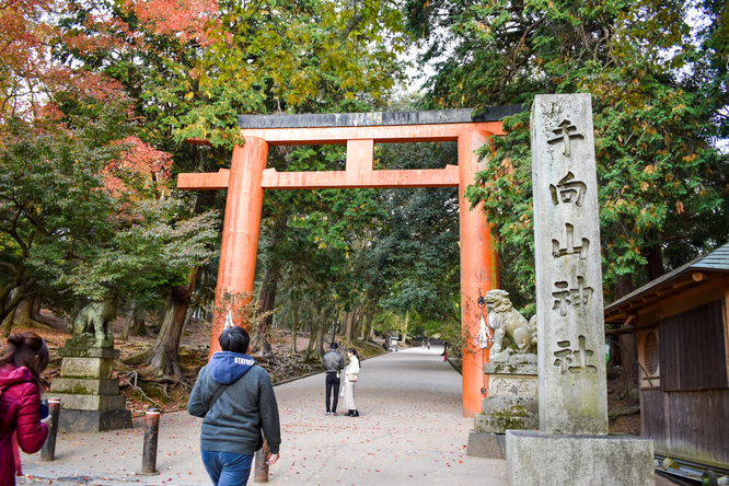 手向山八幡宮_奈良公園の紅葉