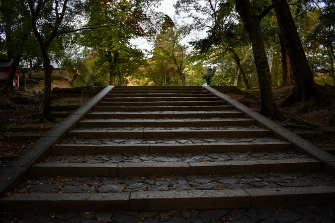 手向山八幡宮_奈良公園の紅葉