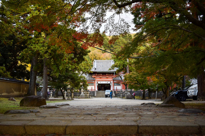 手向山八幡宮_奈良公園の紅葉